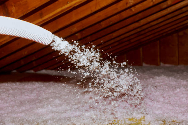 Types of Insulation We Offer in West Wendover, NV