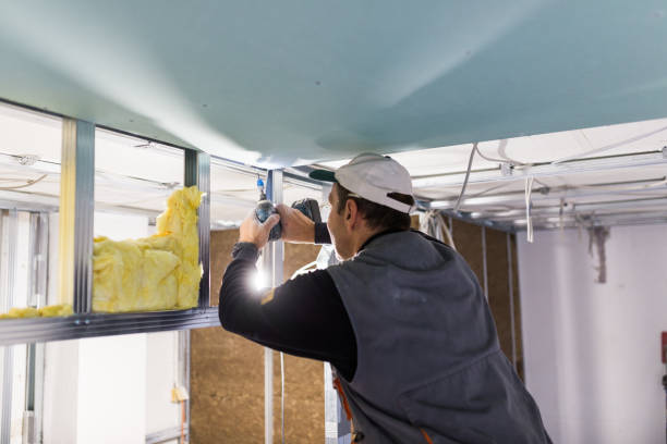 Best Geographic-Specific Insulation Services in West Wendover, NV